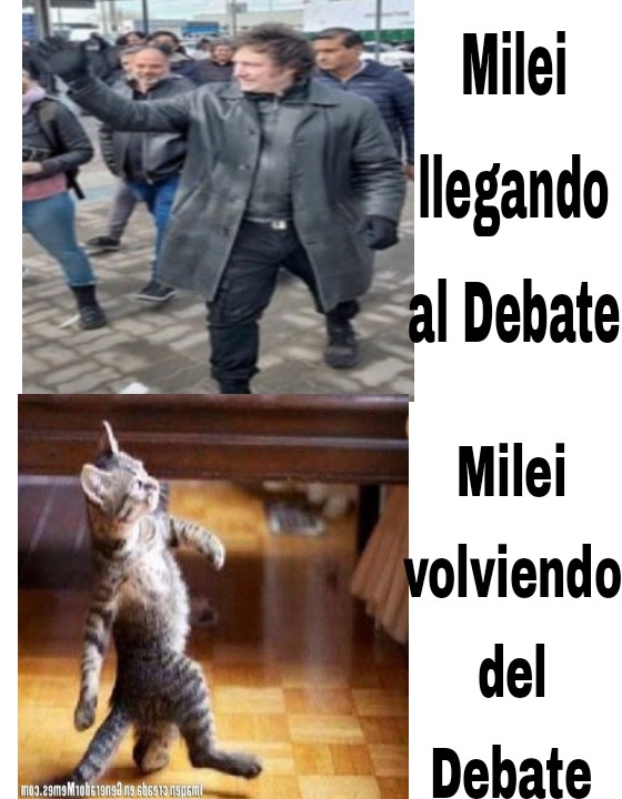 FrancoV79's tweet photo. Aplanadora @myriambregman 
#DebatePresidencial 
#GatitoMimoso https://t.co/Q2VV1OEiZe