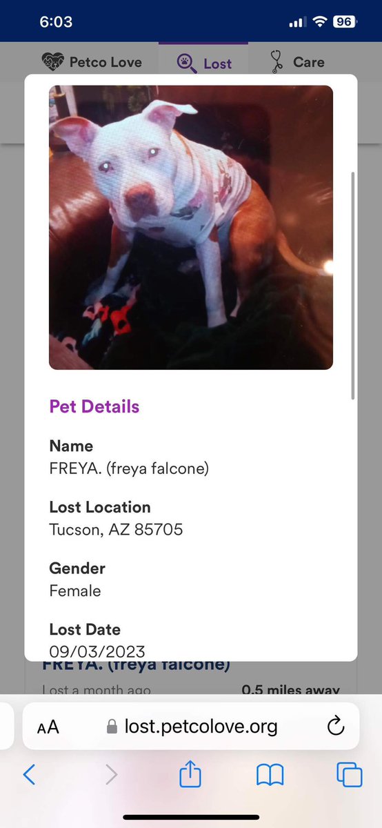 cece2769 tweet media