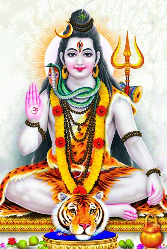 नाथ नागेश्वर हरो हर पाप साप अभिशाप तम, महादेव महान भोले सदा शिव शिव संकरा, #महादेव #सुप्रभात 🙏🙏🌹🌹💐💐💞