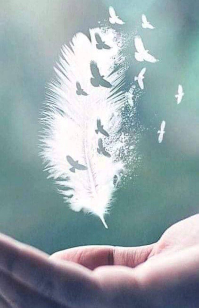 هناك أشياء تضيع وترحل بسهوله ..
 العمر أهمها ..والحب أفضلها ..والسعاده أكثرها ….
وهناك أشياء ستبقى وإن رفضتها ،
 الذكريات أولها …والحزن أصعبها …والقسوه أبغضها….
[ وهكذا هي الحياة تمضي بنا ]