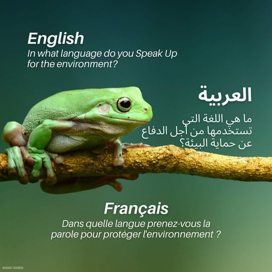 soytuventana's tweet image. ¡Feliz #DíaInternacionalDeLaTraducción 30 de Septiembre!

¿En qué idioma(s) defiendes el medio ambiente?
#AlzaLaVoz 📢 #ITD2023