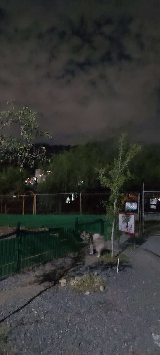 Sin servicio de luminarias en la colonia #SanJeronimo #SanJemo en #Monterrey 
<a href="/mtygob/">Gobierno Monterrey</a> <a href="/colosioriojas/">Donaldo Colosio</a> los parques y varias calles no tienen luz