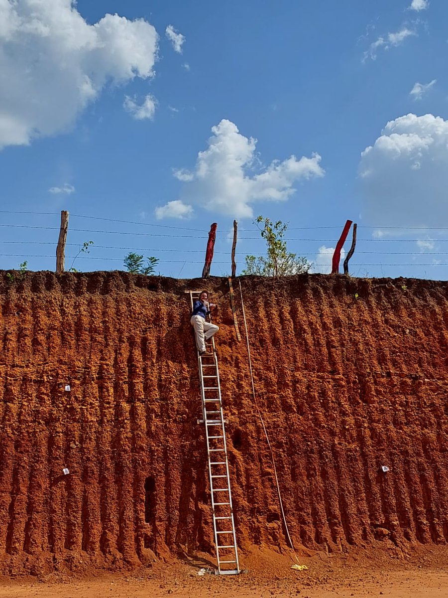 calegari_marcia's tweet photo. Tropical soils and their challenges
Tocantins, Brazil. https://t.co/l0oIhk60m2