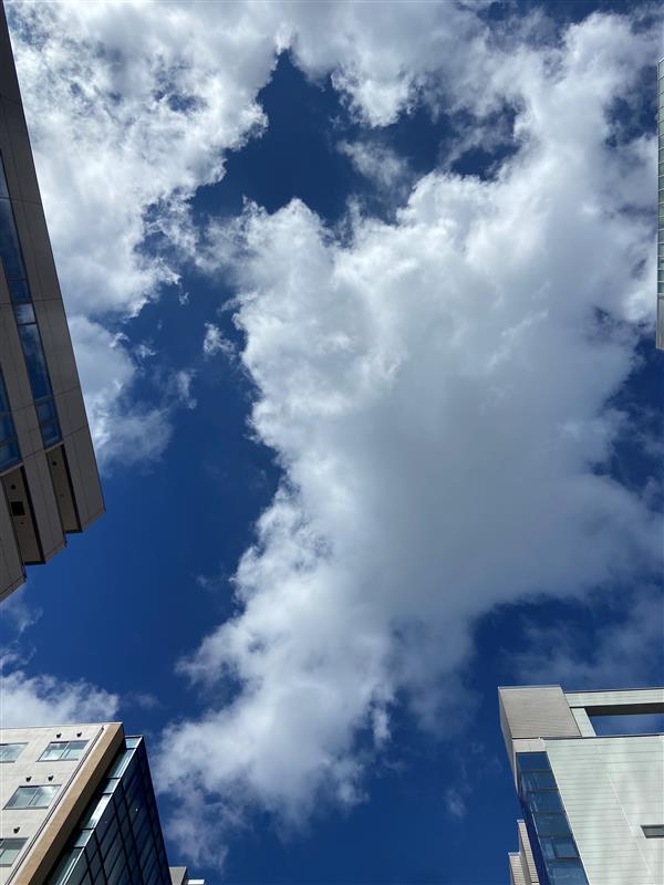 PcVueJapanaichi's tweet photo. #名古屋 の空は、#晴れ です。
本日は、少し肌寒いので長袖で通勤しました。
今週も頑張っていきましょう。
#PcVue
#企業公式が毎朝地元の天気を言い合う
#企業公式がお疲れ様を言い合う
#企業公式相互フォロー
#企業公式つぶやき部
#企業公式
#長袖
#秋 https://t.co/JMArGNIcPL