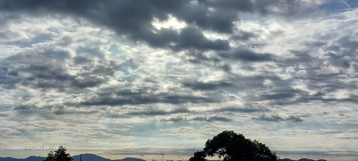 yumeasutw's tweet photo. #まだら雲 の隙間から青空が覗く涼しい月曜日の朝🌥️
煌めく #高積雲 の隙間からうっすらと降り注ぐ #薄明光線 ✨

予想最高/最低気温🌡️28℃/17℃
晴れ☀️
お洗濯日和👕👖日中は少し汗ばむ陽気。夕方は北東の風が吹き風が冷たそうです🌬️➰🌿

#空の名前
#天気の図鑑 #雲の超図鑑
#a2023  #a1002 #a202310 https://t.co/vJtCRdlsw0