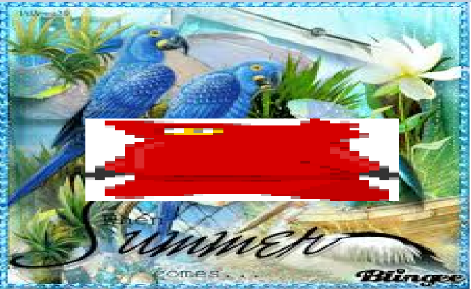 HomestarBakery's tweet photo. ☆   -    this  order  is    stretched out extremely low quality ripberger with blingee birds in the background  for  @VEN0MSH4NK   .ᐟ

˖   from   @newscarsting   .ᐟ 

 ≻  ❝ Yuor time is up red. the guillotine is being brought back for this special occasion. ❞ https://t.co/GQXZrc3i17