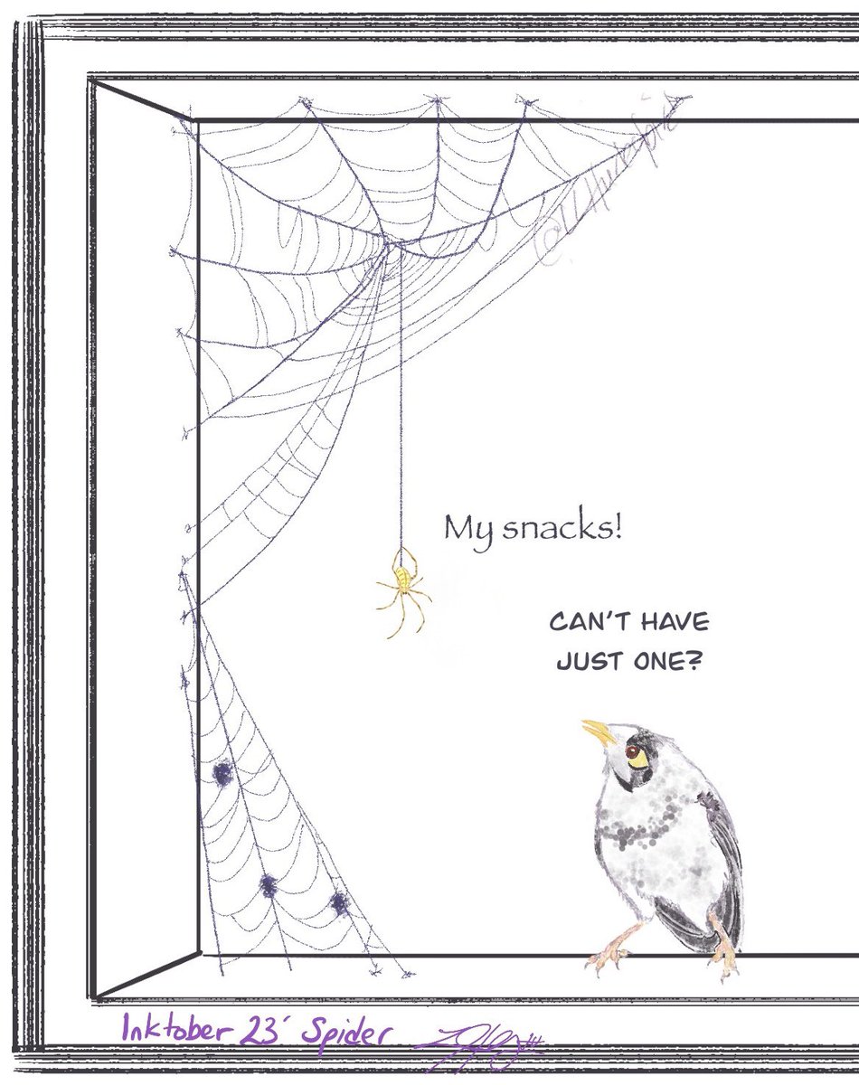 LLHurleybird's tweet photo. [#Inktober Day 2: #Spider]
I see noisy minors regularly raiding bugs from window spider webs… #birds https://t.co/pz69rLIgRJ