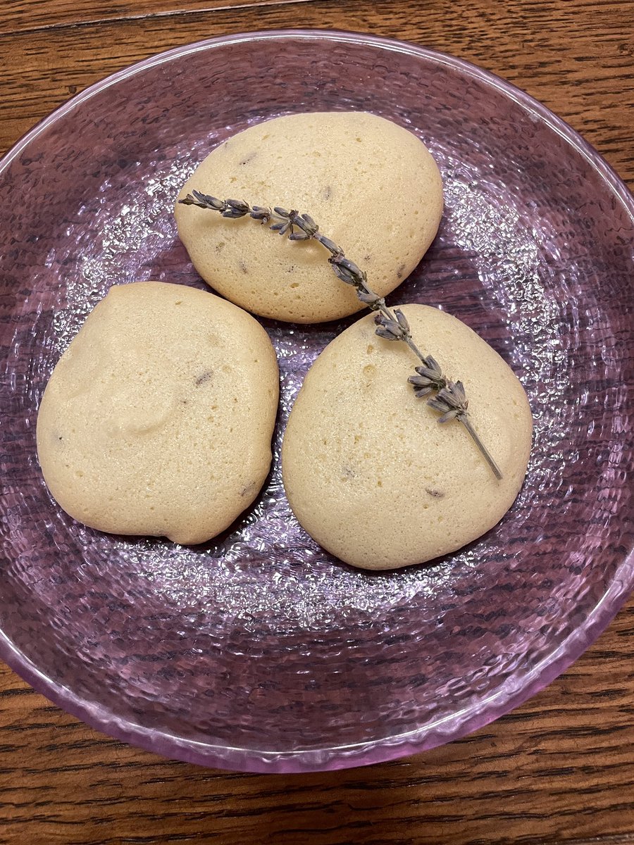 CathleenDCahill's tweet image. #BakePennState entry- Sugar Biskets. Grateful for modern beater technology b/c “beat [sugar and eggs] with a stick one whole hour” sounds tedious. Also substituted lavender syrup for rose water. Verdict- subtle, but nice and meringue-y #TheGreatRareBooksBakeOff @psu_scl
