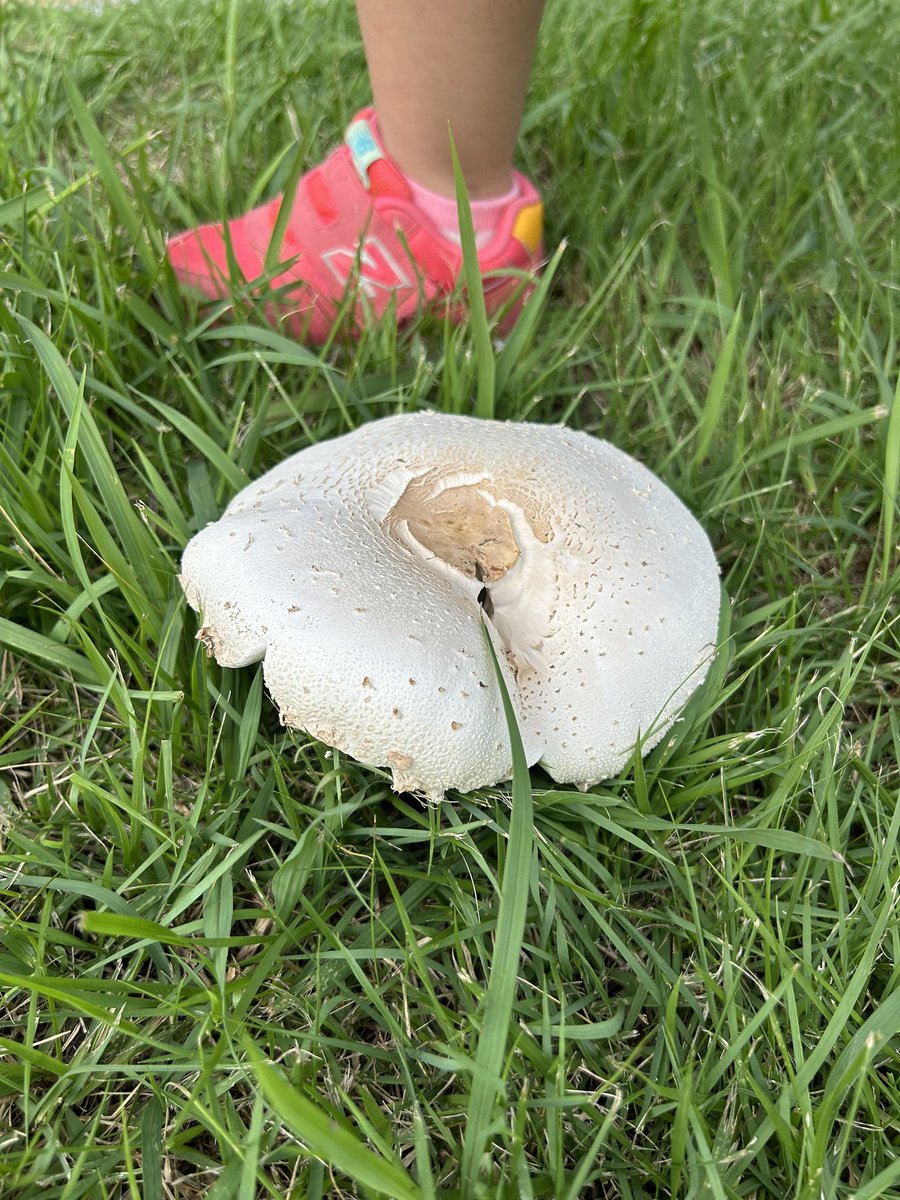 足が早くなるよ👍
頑張れニッポン！