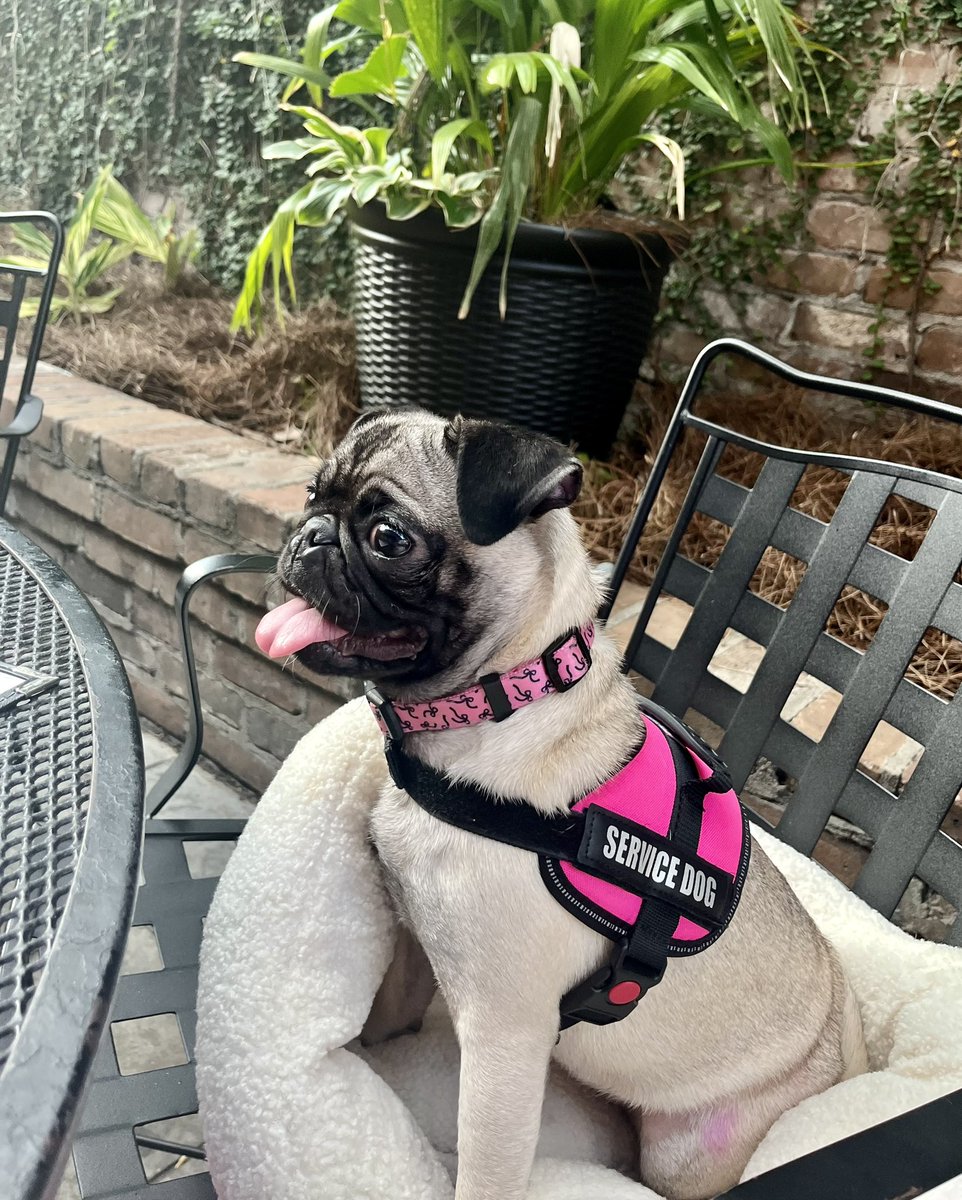 James A York MD tweet media