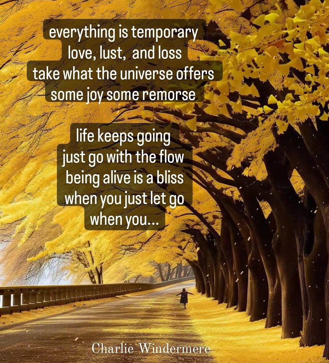 Charliewmere's tweet photo. everything is #temporary
#love, #lust, and #loss
take what the #universe offers
some #joy some #remorse
#life keeps going
just go with the #flow
being #alive is a #bliss
when you just let go
when you.. https://t.co/Ci16wU7YYc
