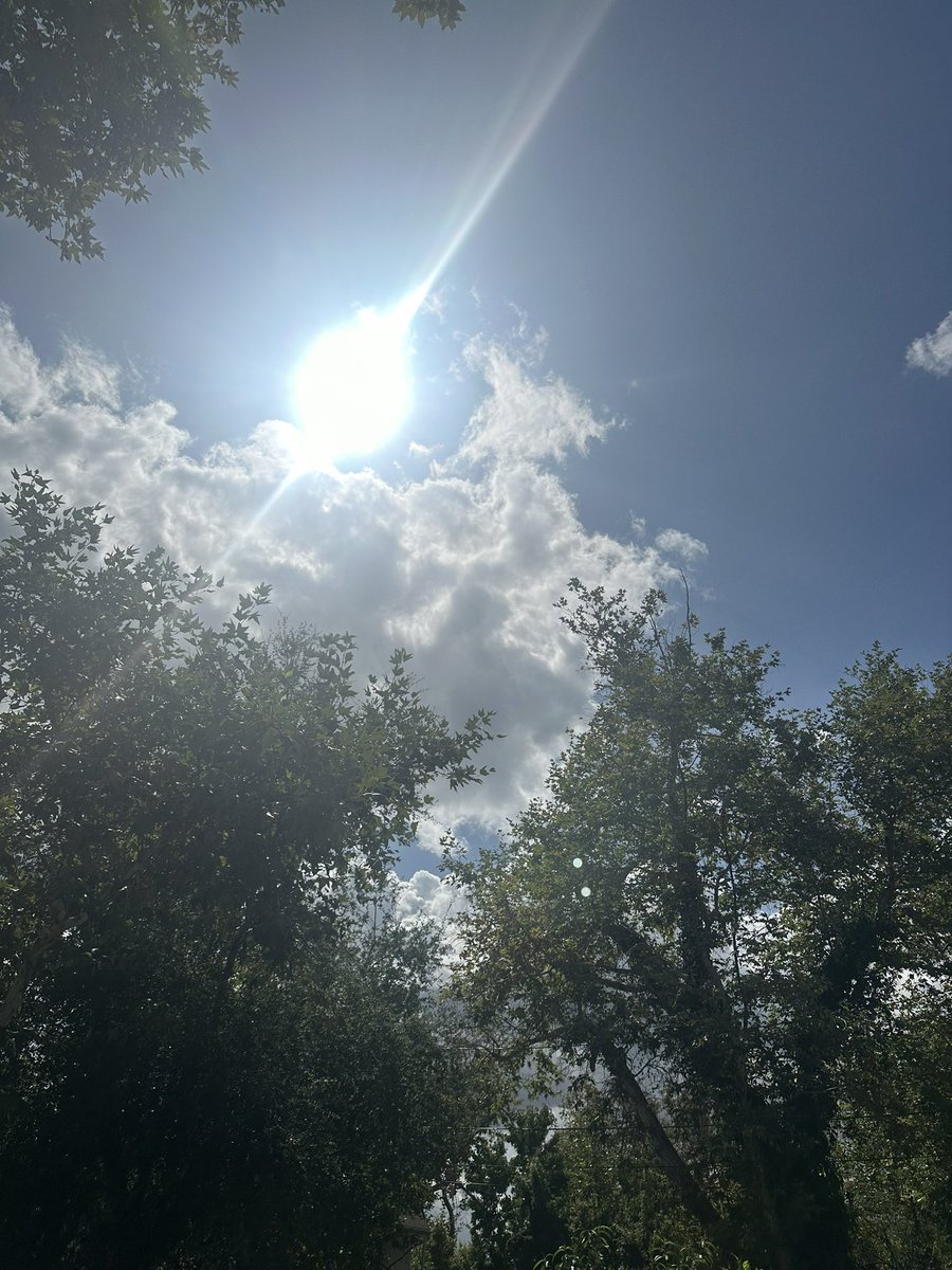 larynx_lynx's tweet photo. #OctoberSky #WelcomeToSpookySeason #FallIntoFall https://t.co/iSRkwmI0Vt
