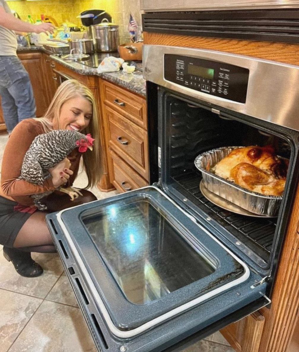 MarcoDabizzi's tweet image. Come aumentare la produzione di uova delle proprie galline.

Seguitemi per altri consigli sull'allevamento degli animali.