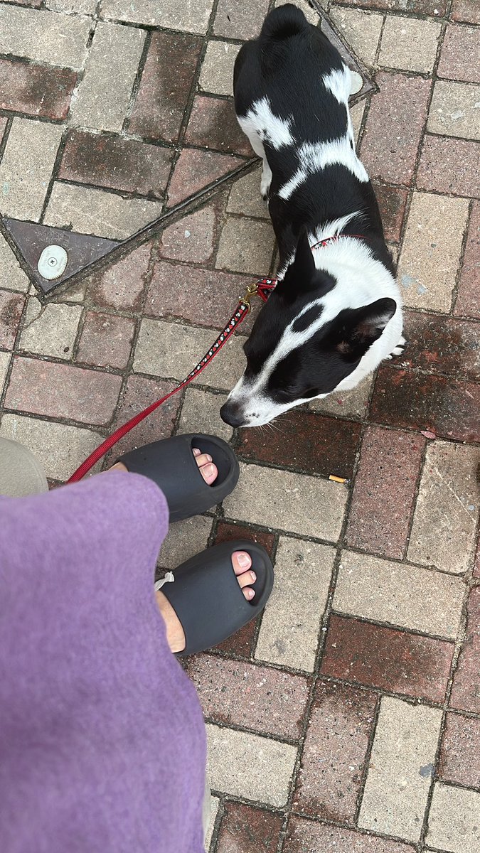 Jonathan tweet media