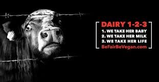 WillowWind64's tweet photo. #WorldVegetarianDay #WorldVegetarianDay_2023
Be Fair - Be #vegan 🔗https://t.co/jYC90H8o8l
#switch4good 🔗https://t.co/as2UqsBvB1 https://t.co/BK2Ot02RYj