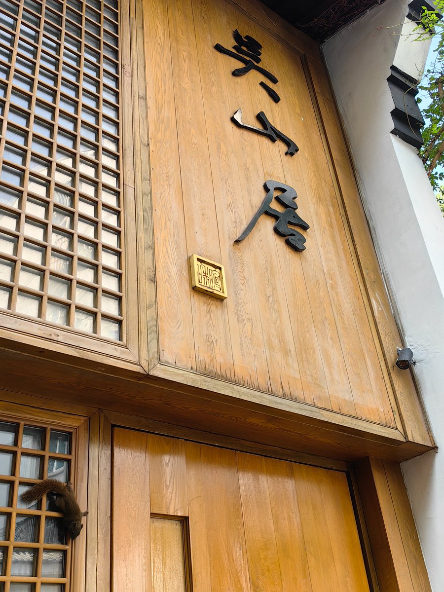 Wild birds and squirrels are often encountered on the streets of Hangzhou.杭州街头绿树成荫，经常能看到野生鸟类，刚才在树上拍到很多松鼠，现在又在一户人家门口碰到小可爱。#China #大美中国 #美丽浙江 https://t.co/kKRLnsIDai
