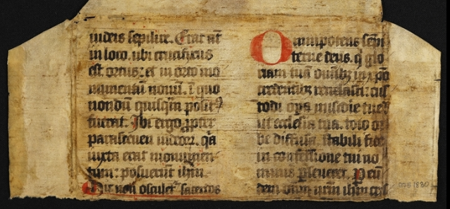 ANZAMEMS's tweet photo. Call for applications! Does a two-day masterclass on developing skills for reading medieval and early modern sources sound good? Hosted by the world-leading MEMS program at ACU Melbourne on 2-3 Nov., application to participate need to be in by 15 Oct👇

https://t.co/nbiBIZqEat https://t.co/gvWW6zGxUA