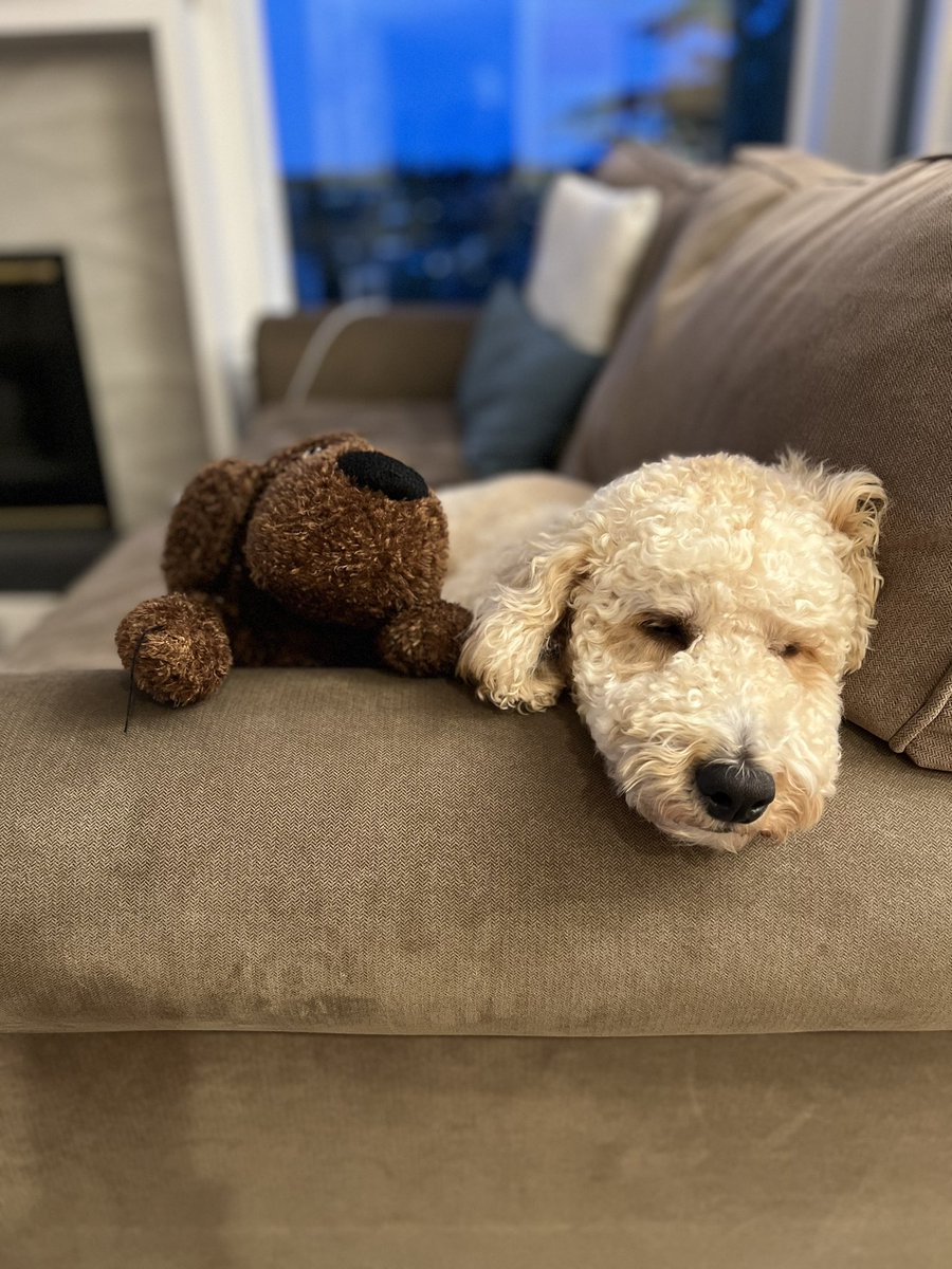 A dog and his dog.