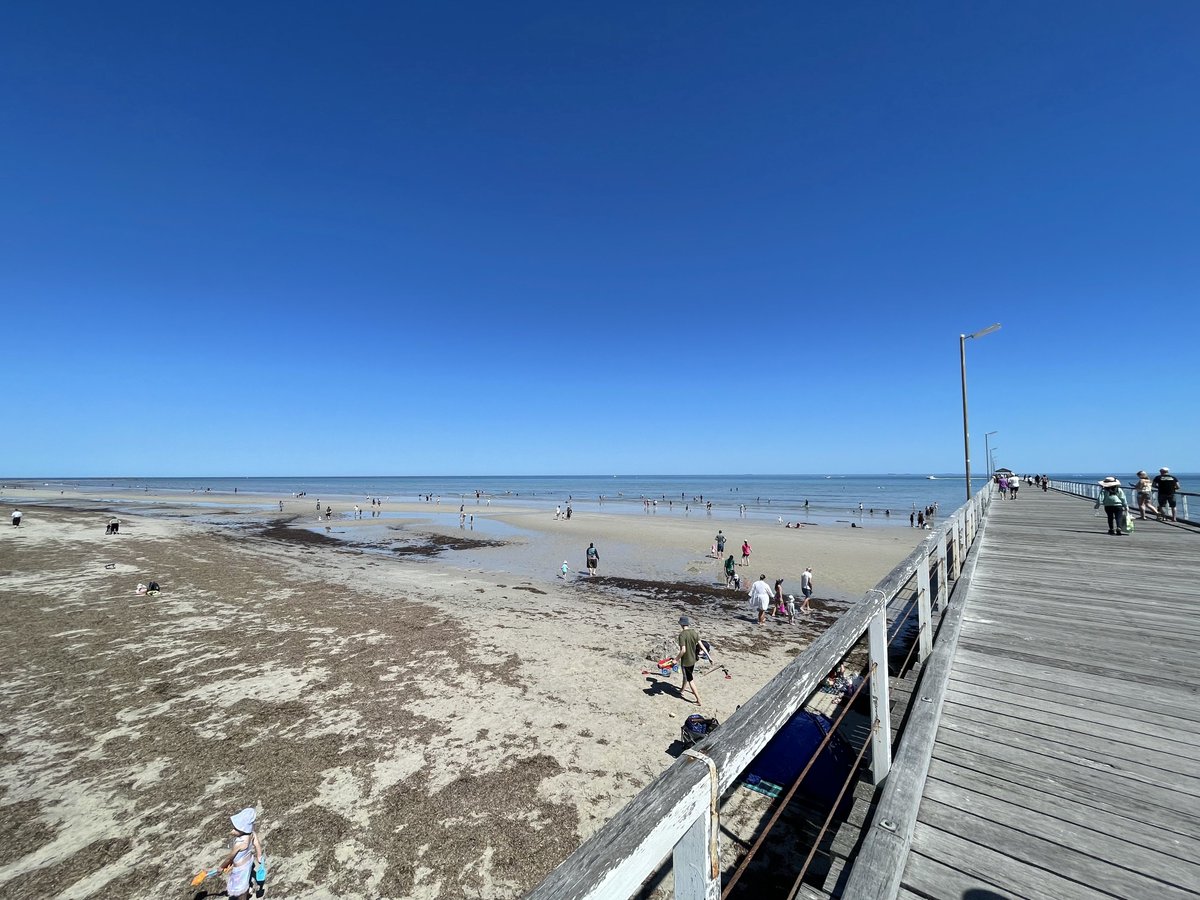 paulrunslong's tweet image. Beach is amazing today! Perfection. 👌
#beach #Adelaide #Semaphore