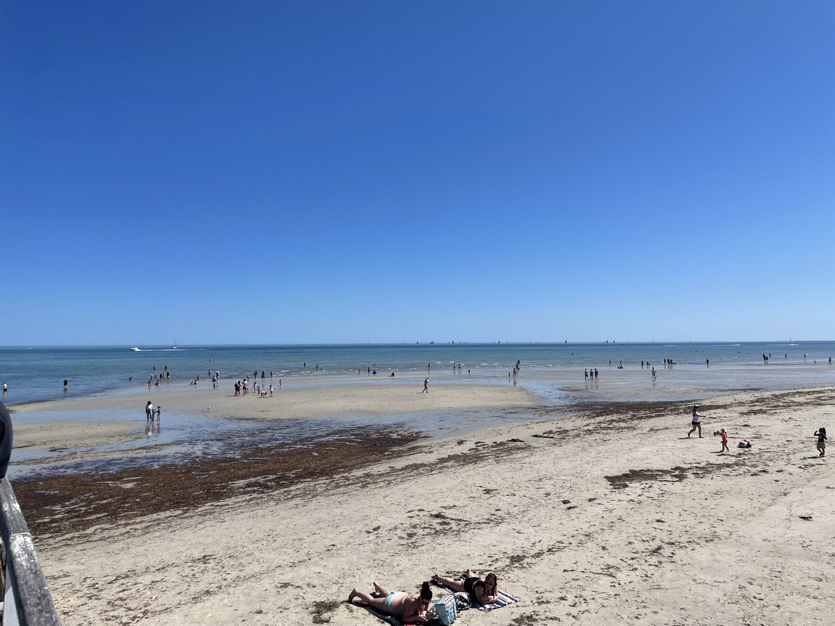 paulrunslong's tweet image. Beach is amazing today! Perfection. 👌
#beach #Adelaide #Semaphore
