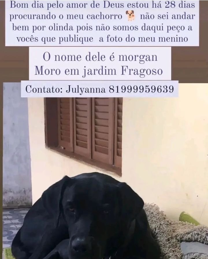 meu cachorro morreu e agora não tenho dinheiro para spoofer no