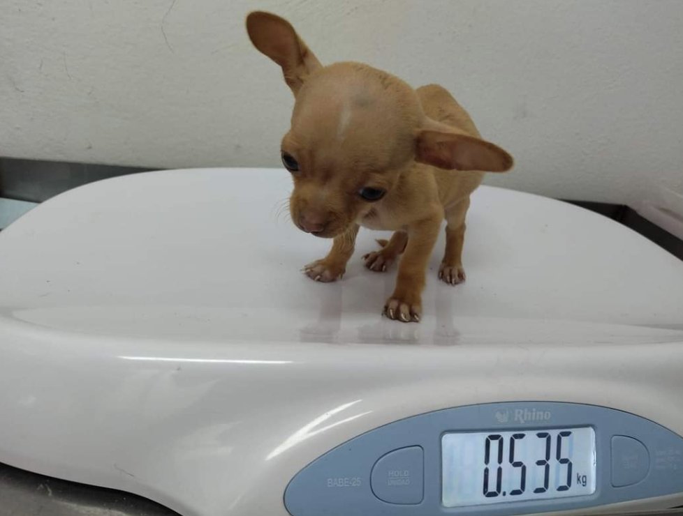 Ainda bem q ódio não pesa galera