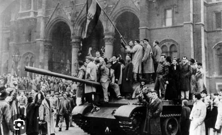 Tim Hermansson 🇸🇪🇺🇦 tweet media