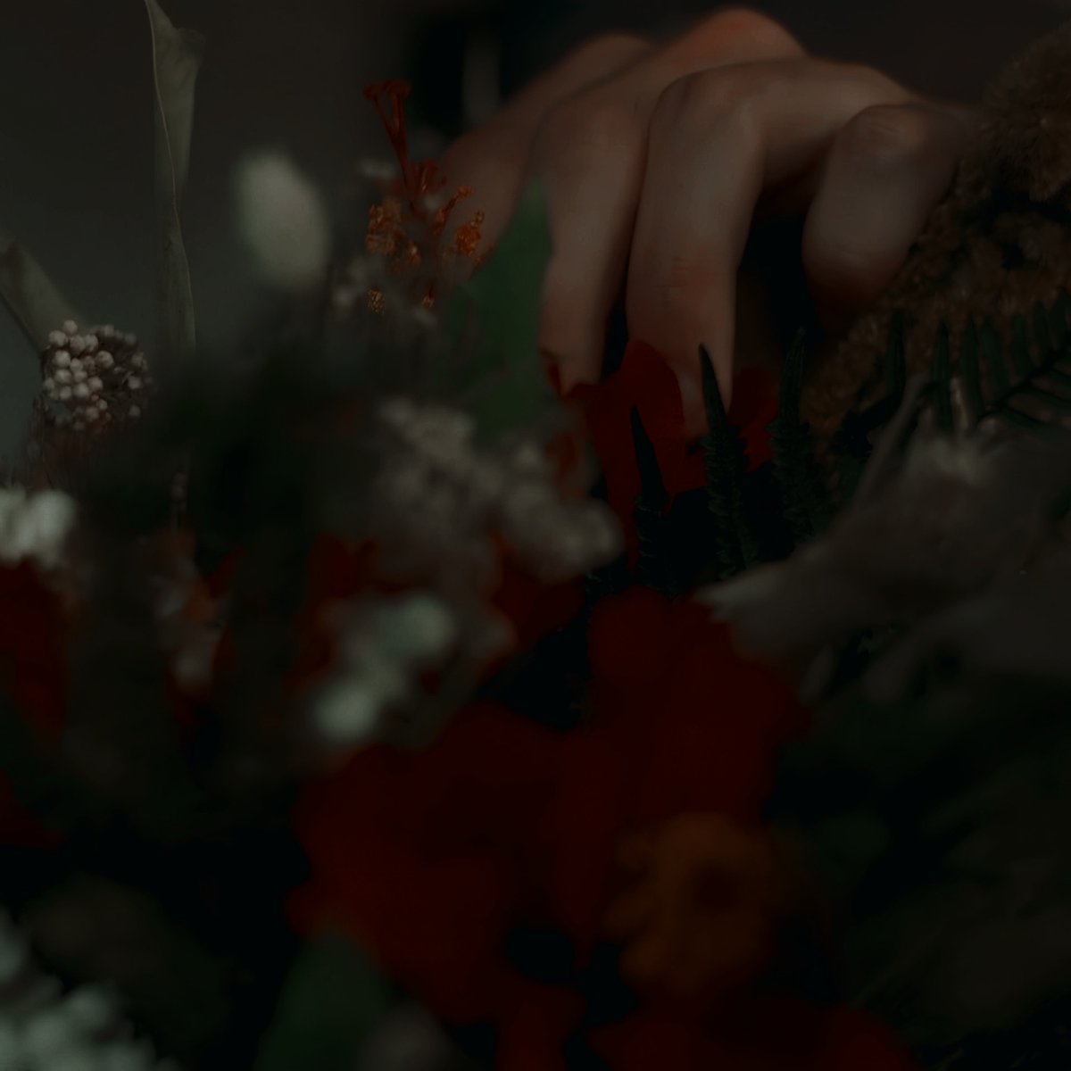 𝐏𝐄𝐑𝐒𝐄𝐏𝐇𝐎𝐍𝐄 (@undxrworldqueen) on Twitter photo 