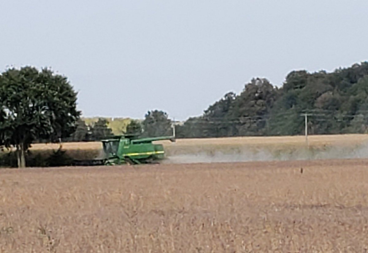 Sure was a nice day to get at some beans. Can’t believe how fast they dried down hour by hour. #ontag