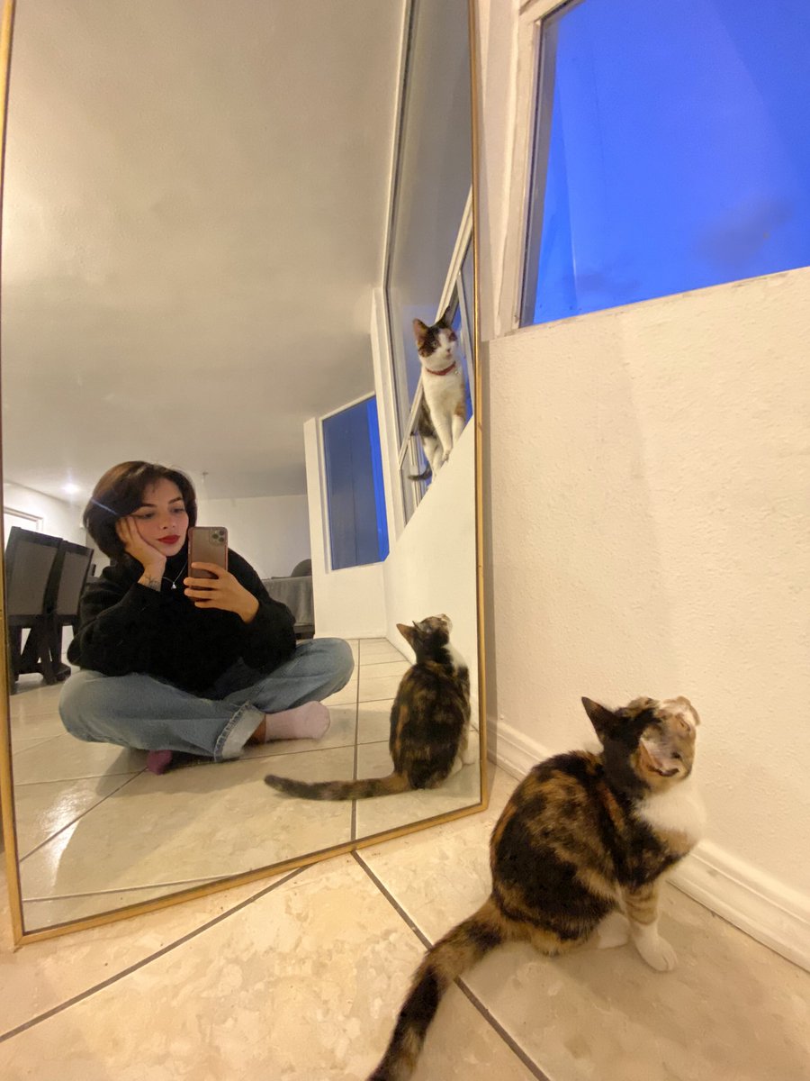 kimuvina's tweet photo. Mis bebés https://t.co/YPZwOvKjNP