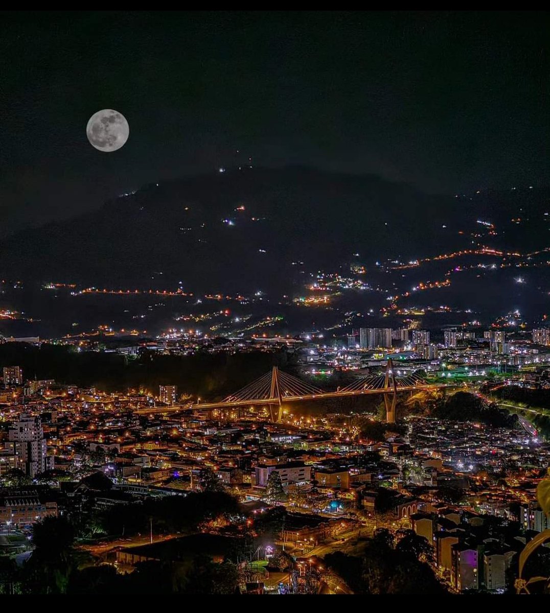 Hater de Álvaro López tweet media