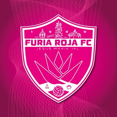 FuriaRojaFC's tweet photo. ¡Octubre es Rosa! 
Nos unimos a la iniciativa de @LigaTDP  para crear conciencia sobre el cancer de mama.
#GritaConFuria #TocaTuVida https://t.co/5UX3pWcPsl
