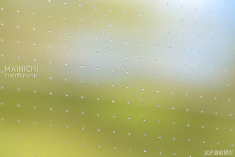 mainichiphoto's tweet image. #西武鉄道 のフラッグシップトレイン「#Laview」。

窓には、最小0・6ミリの微細なドットがあしらわれていています。

写真特集→bit.ly/3EXPAuU
記事→bit.ly/3PEmBkD

#鉄道写真 #EOSR3 #ラビュー