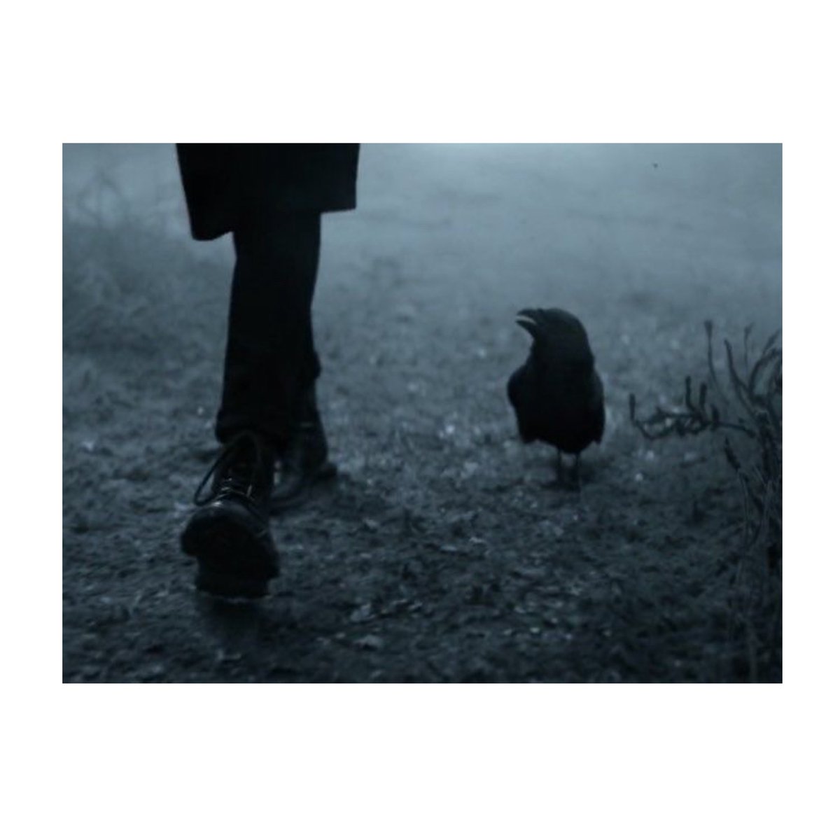 ⠀ 「 ❝𝑩𝑰𝑹𝑫 𝑶𝑹 𝑩𝑬𝑨𝑺𝑻 𝑼𝑷𝑶𝑵 𝑻𝑯𝑬 𝑺𝑪𝑼𝑳𝑷𝑻𝑼𝑹𝑬𝑫 𝑩𝑼𝑺𝑻 𝑨𝑩𝑶𝑽𝑬 𝑯𝑰𝑺 𝑪𝑯𝑨𝑴𝑩𝑬𝑹 𝑫𝑶𝑶𝑹,

               𝑾𝑰𝑻𝑯 𝑺𝑼𝑪𝑯 𝑵𝑨𝑴𝑬 𝑨𝑺 " 𝑵𝑬𝑽𝑬𝑹𝑴𝑶𝑹𝑬 " ❞ 」

               ( VILLAIN EVENT PINNED )