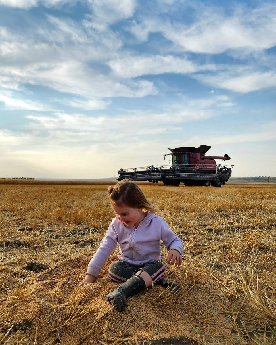 lorijobach's tweet photo. @RMEHQ 
#rmeharvest2023
#rmerightbyyou https://t.co/b7tDCFJ1an