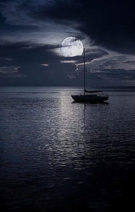 ᄂ Ц Z (@blanchenoirr) on Twitter photo 