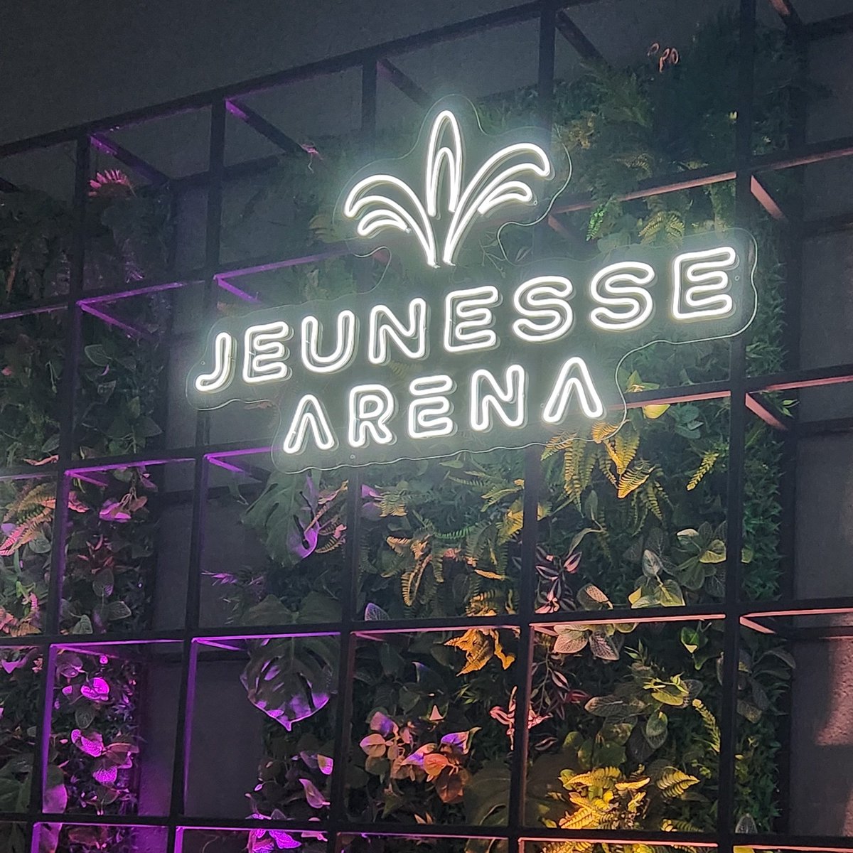 Pude ter a honra de conferir a espetacular orquestra Distant Worlds esta noite. Uma experiência linda e uma carta de amor aos fãs de Final Fantasy.
Meus parabéns ao maestro e aos instrumentistas do evento 👏
<a href="/cineinconcert/">Cine In Concert EXP - Distant Worlds</a>