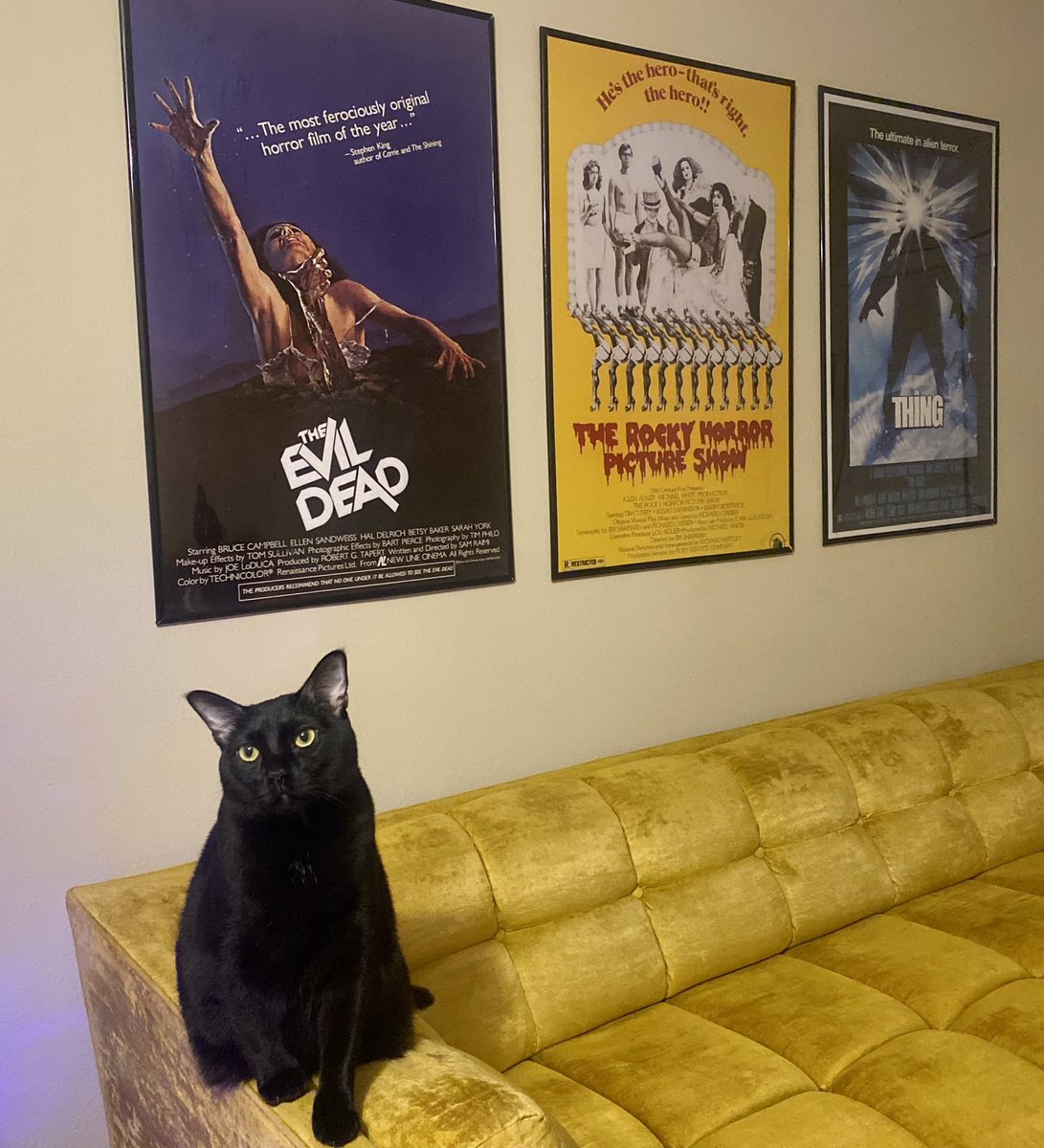 ohrawkey's tweet photo. @weirdlilguys Maeby baby. https://t.co/ntaxtzDwnX