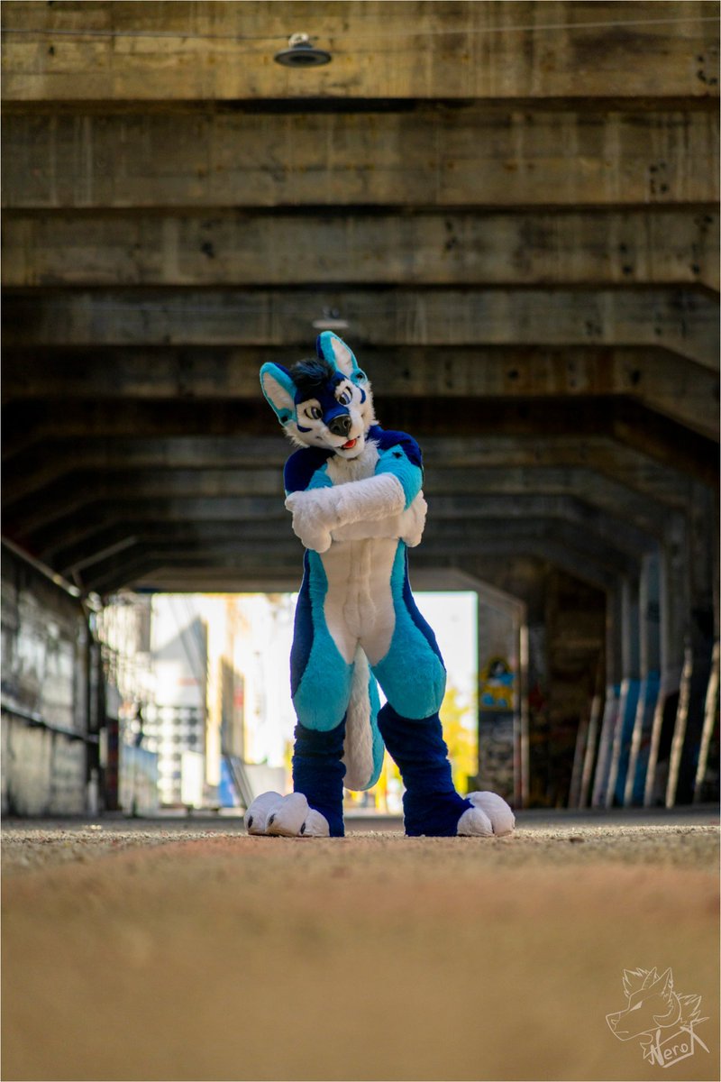 Had a fantastic photoshoot this weekend with 📸 @fur_nerox! Get ready for some stunning shots! 💙 Also, a BIG shoutout to all the talented photo and videographers in our community - you make our content shine! 📷🎥 Thanks for creating such amazing pictures and videos! 🥰😊🤗