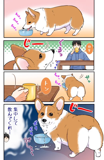 物音に敏感に反応する犬