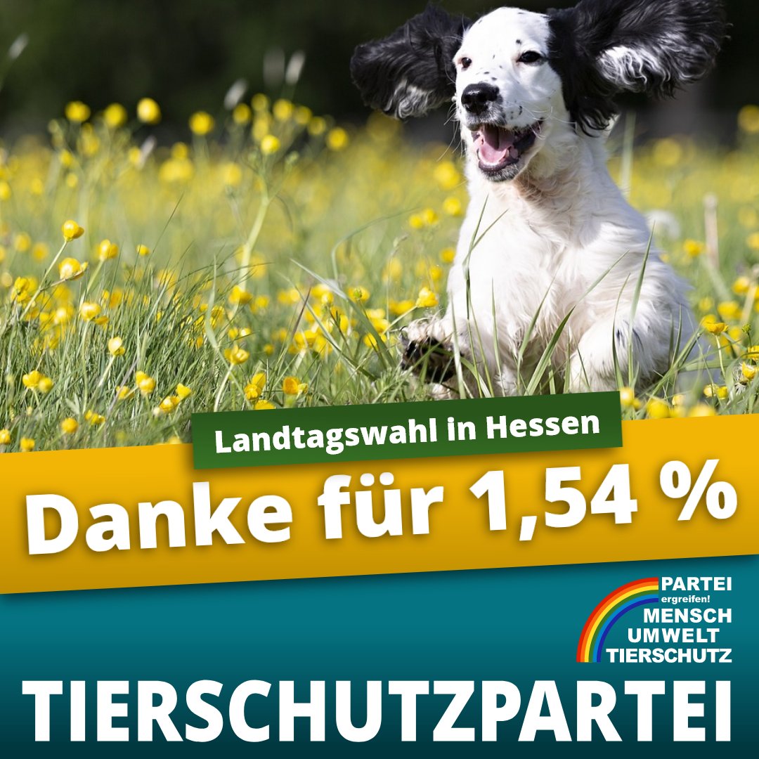 Mit 1,54 % schnitt die Tierschutzpartei als stärkste der außerparl. Parteien Deutschlands bei der #Landtagswahl in #Hessen ab. Wir werden weiter die Verfehlungen der Politik aufzeigen, Lösungen anbieten und beherzt für die Rechte der Stimmlosen und Schwächeren eintreten.