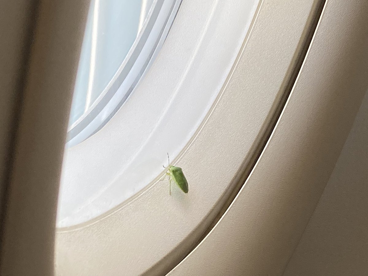Heading to Monaco for <a href="/Les_Assises/">Les Assises</a> and #LeBefore.

The flight is not net zéro but rather #green 😀

Hope that #bug will help to flight fast and safe 🙏