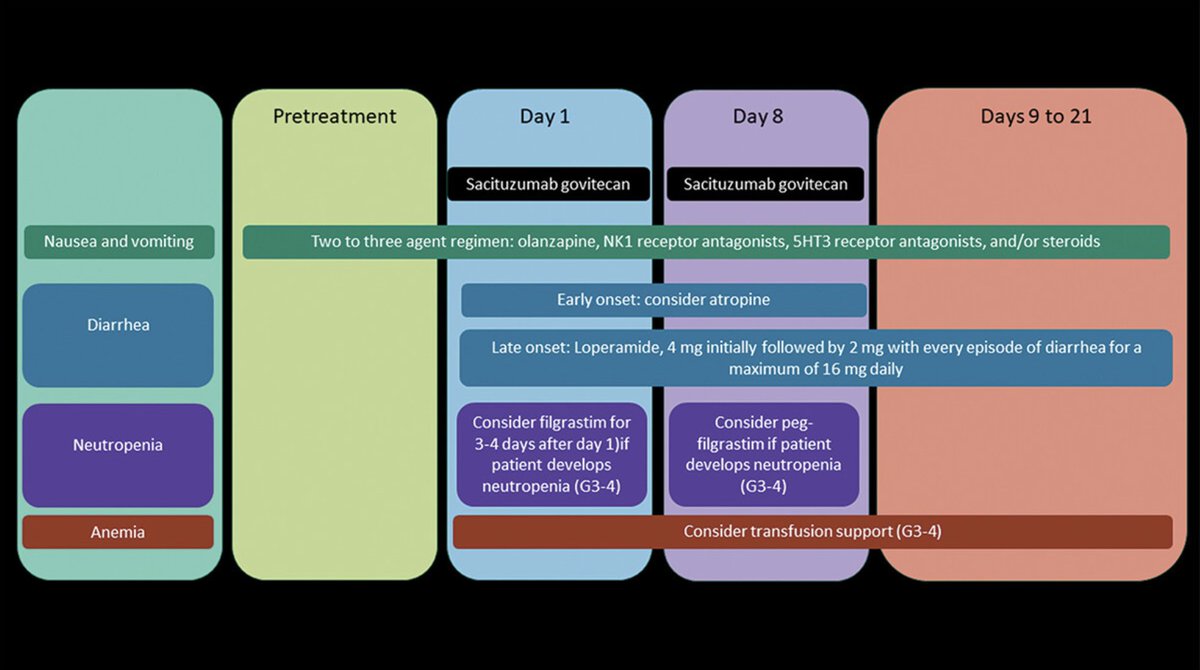IlanaSchlam's tweet photo. Managing adverse events of sacituzumab govitecan - effectively managing the toxicities of ADCs is critical to optimize patient care and treatment adherence. 

Check out our new review! @stolaney1 @PTarantinoMD 

https://t.co/lK3Xrgq5J6 https://t.co/PdGcj7zLW7