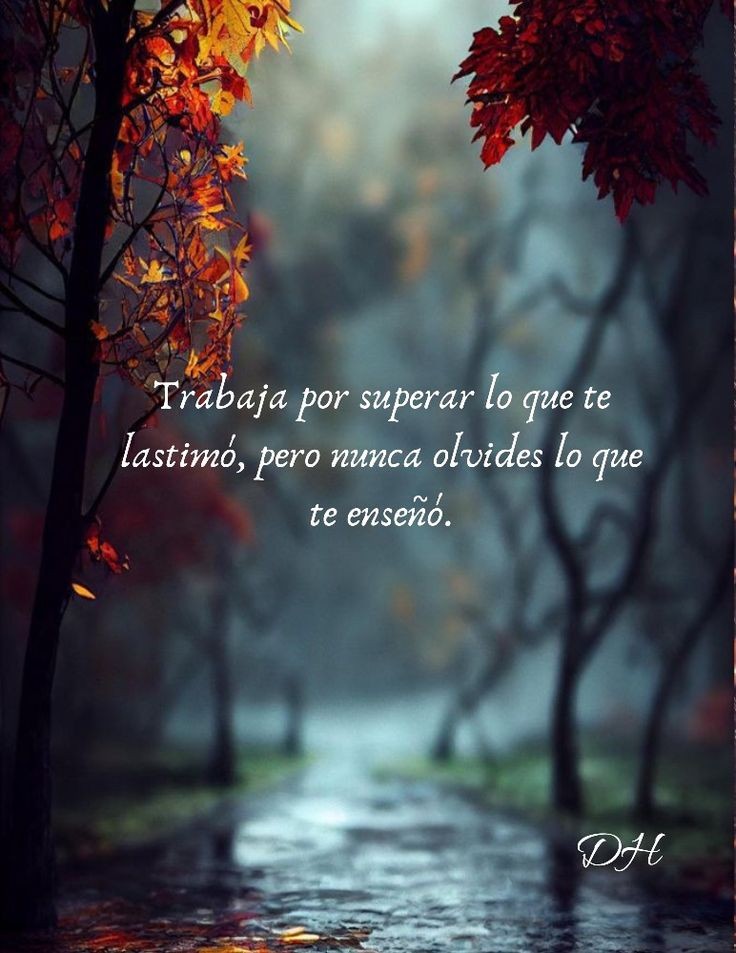 Laura González (@laura_glez_77) on Twitter photo 