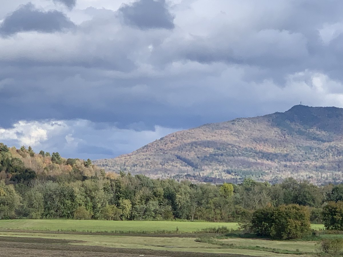 Matt Sutkoski tweet media