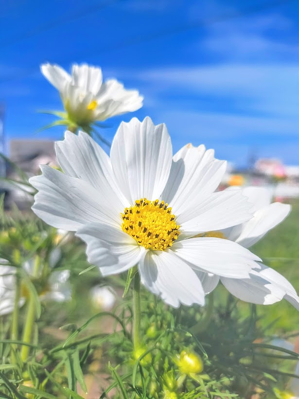 おはようございます🌈📸