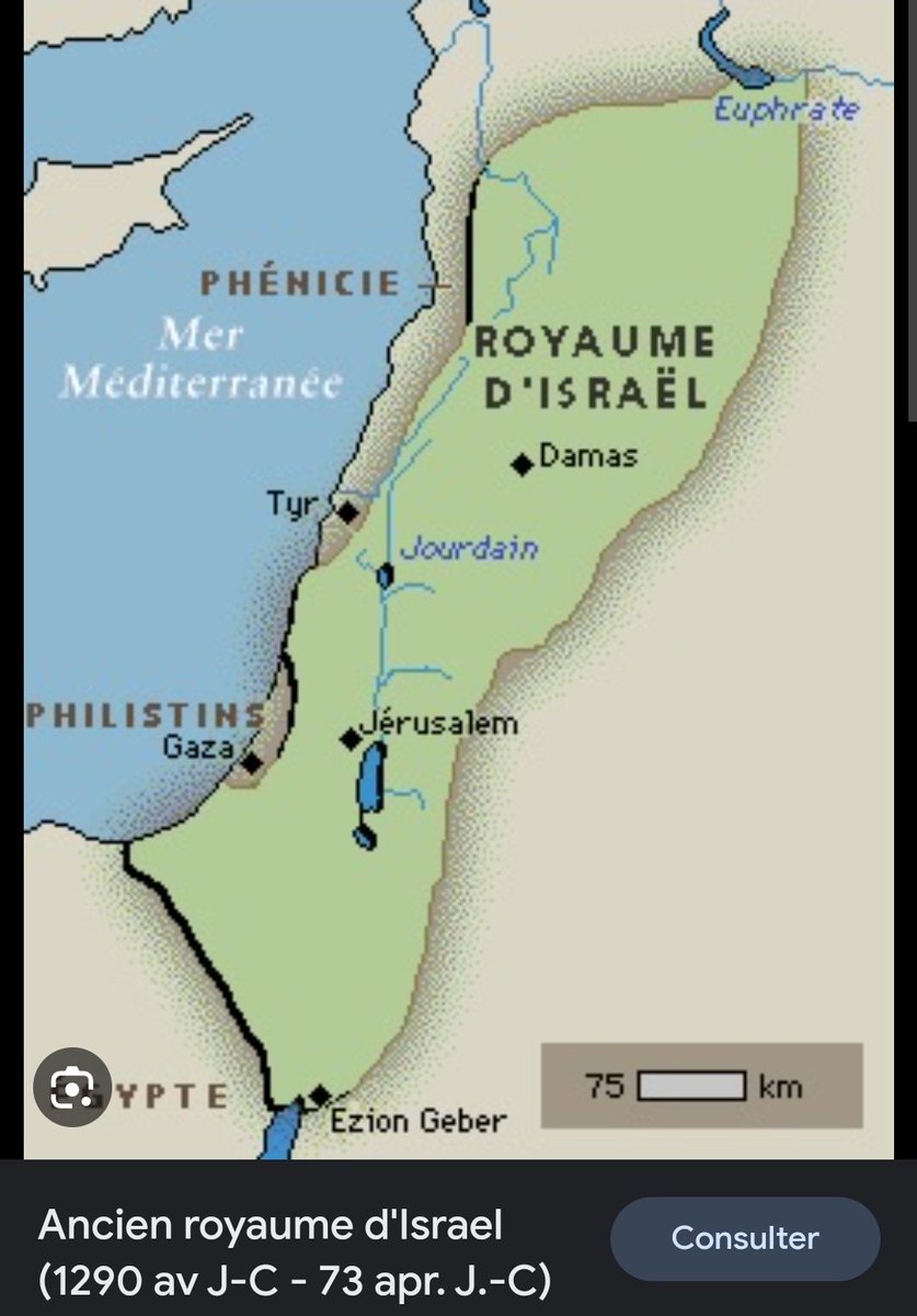 Récupérons la France 🇨🇵 tweet media