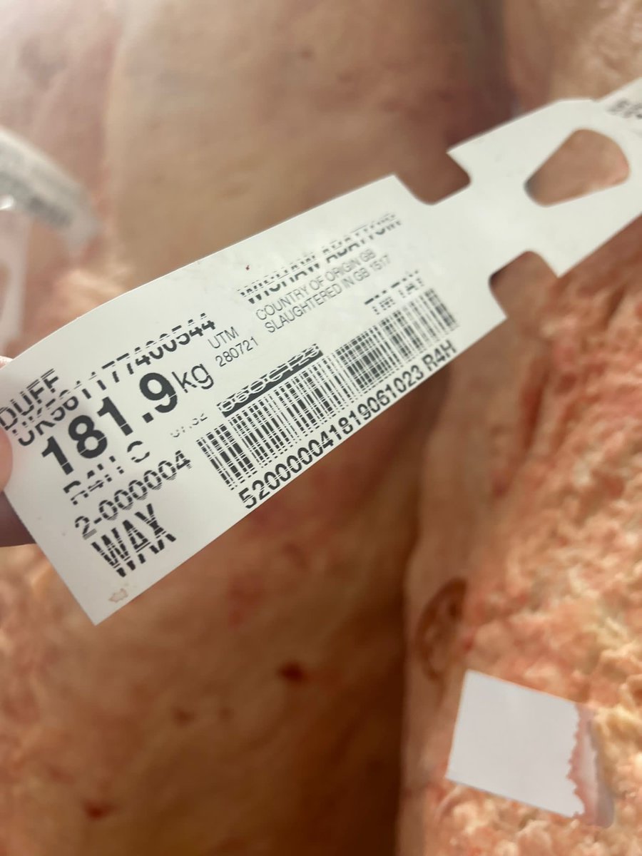 We have some beautiful wagyu that has just come in! 🥩

It has some beautiful marbling throughout! 🤤

Contact us now to secure some of this wagyu!