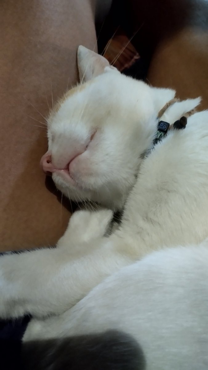 post a random photo otherwise everything will go wrong in october!