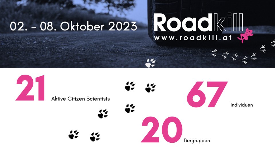 Wieviele überfahrene Tiere vergangene Woche in unserem #citizenscience Projekt gemeldet wurden, könnt ihr hier sehen.  Welche genau, findet ihr auf der Projektseite: roadkill.at/erfolge/woeche…